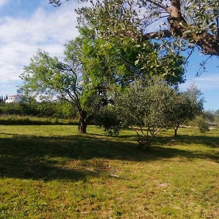 S&M Camping Sveti Filip i Jakov Exterior photo